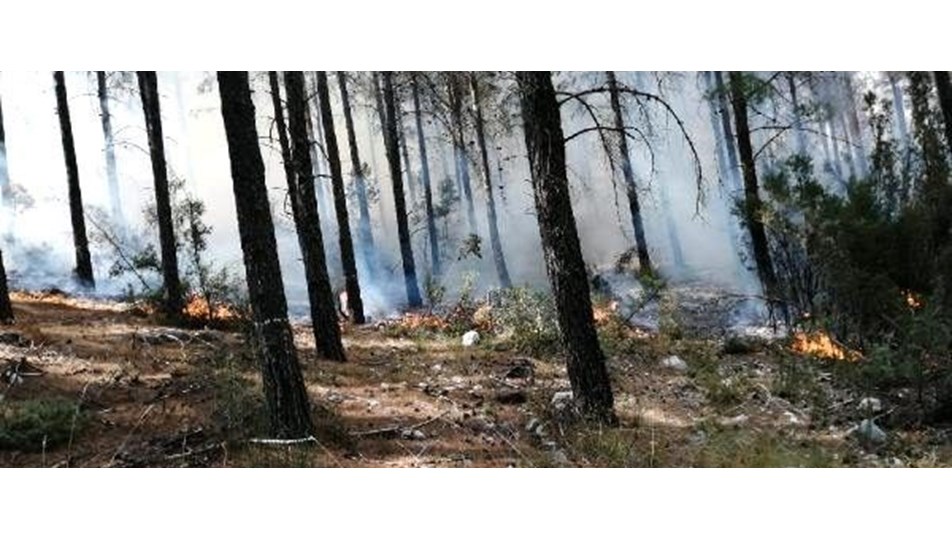 Kaş ve Erdek'teki orman yangınları kontrol altına alındı