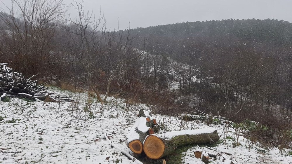 İstanbul'da kar yağışı başladı (Meteorolojiden sarı kodlu uyarı) - 2