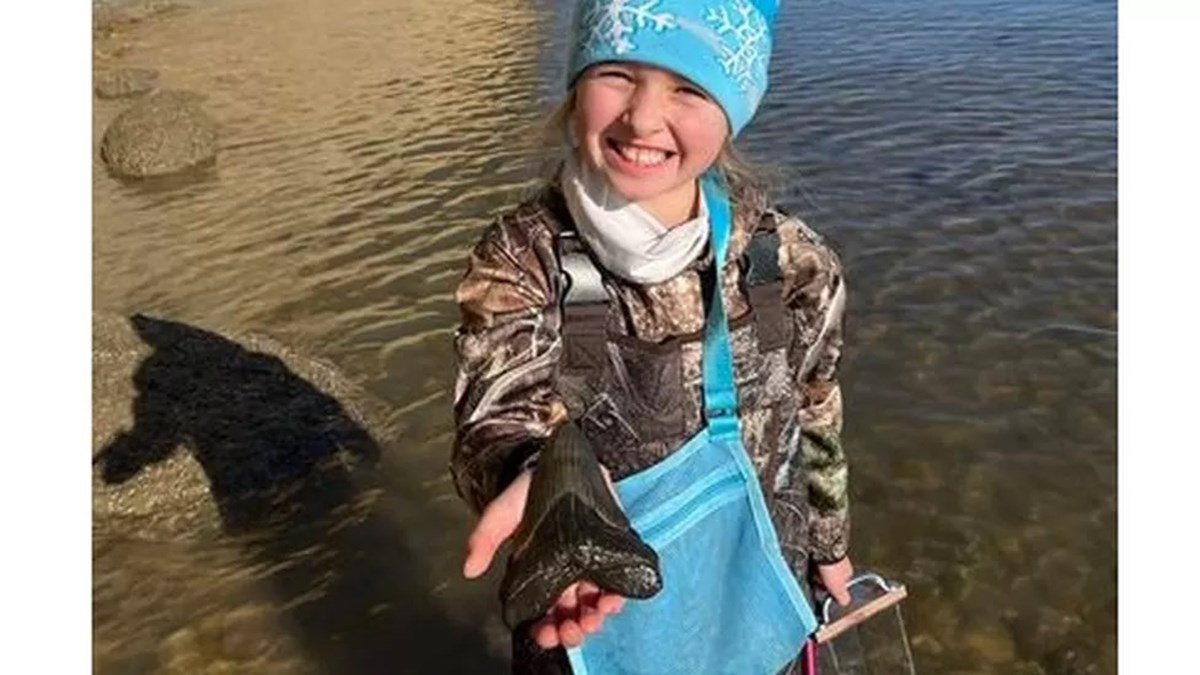 9 yaşındaki kız sahilde megalodon köpekbalığı dişi buldu