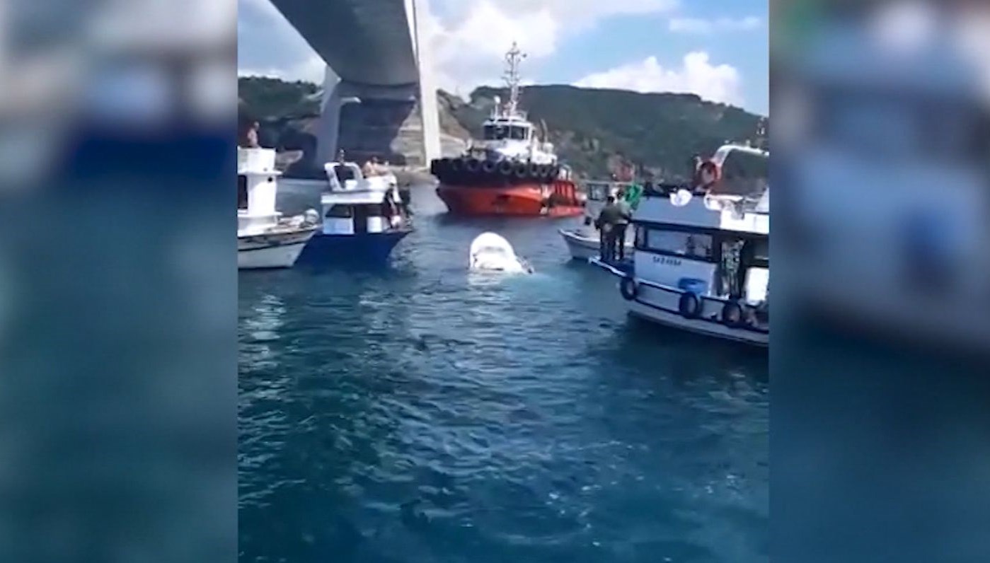 Boğaz’daki kazada ‘ihmal’ iddiası: Gemi uyarıda bulunmadı