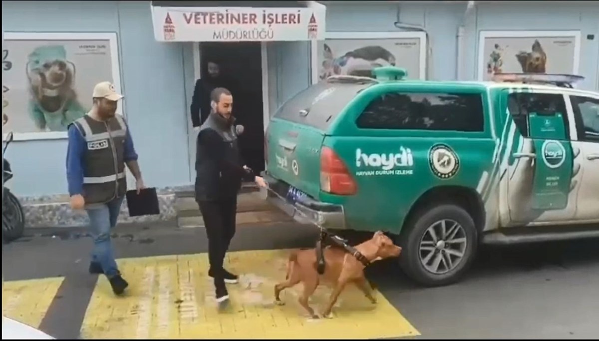 Taksim'de ağızlıksız pitbull gezdirenlere 66 bin 798 lira ceza