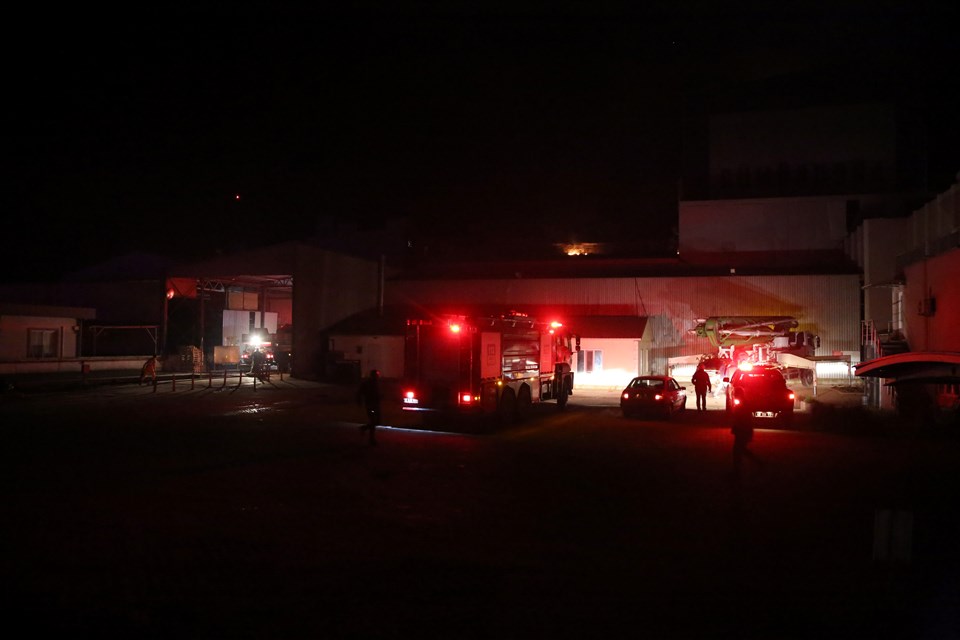 Muğla'da yem fabrikasında yangın - 1