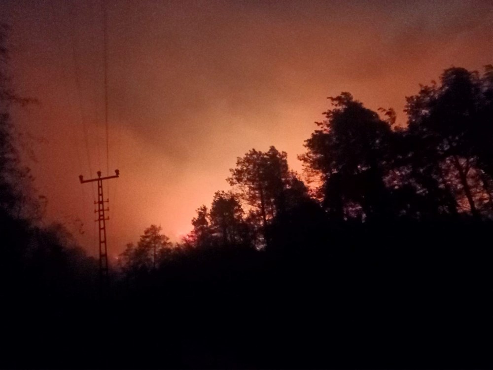Trabzon'un birçok noktasında orman yangını - 9