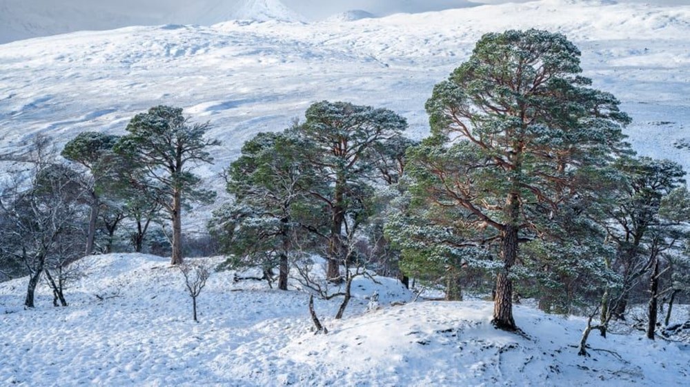 2022 Doğa Manzaraları Fotoğraf Yarışması’nın (Natural Landscape Photography Award) kazananları belli oldu - 7
