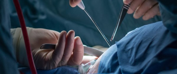 “Türkiye organ naklinde dünyada ilk üçte”