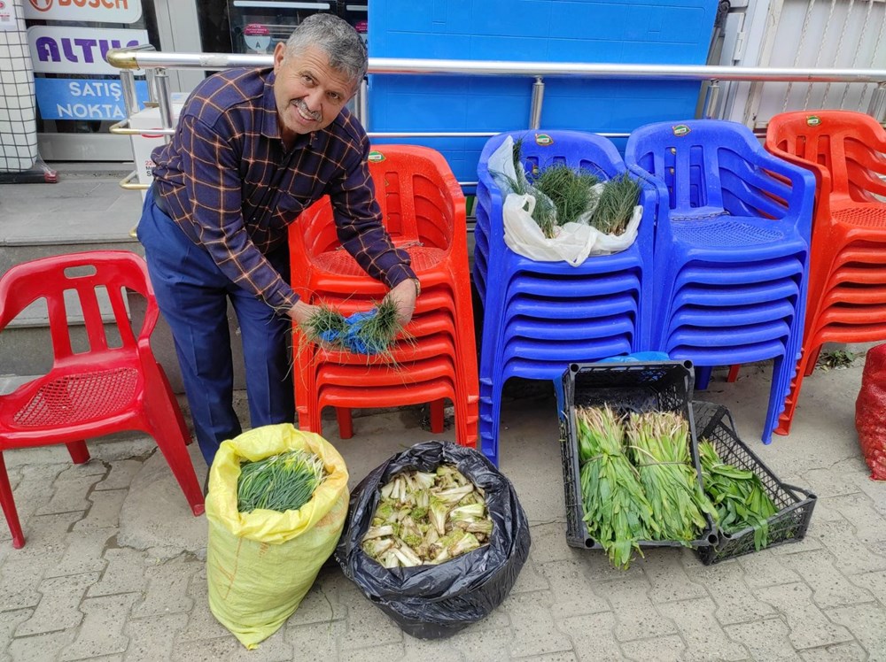 Toplamak için 5 saat yol yürüyorlar: Kilosu 250 lira, yüzlerce ailenin geçim kaynağı 76 szpof02qykWKE6ClWe9oMg