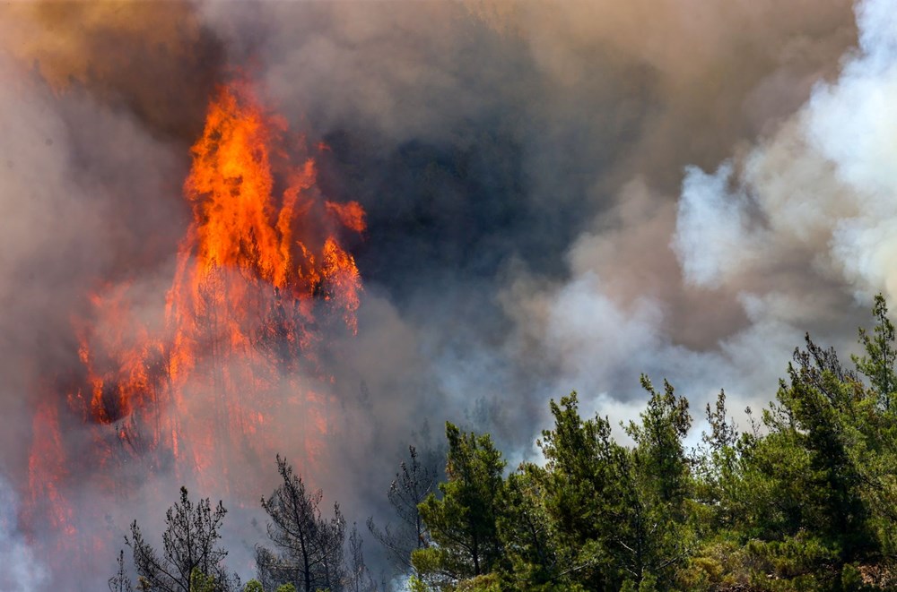 Marmaris'te orman yangını: Rüzgarın etkisiyle yeniden şiddetlendi - 2
