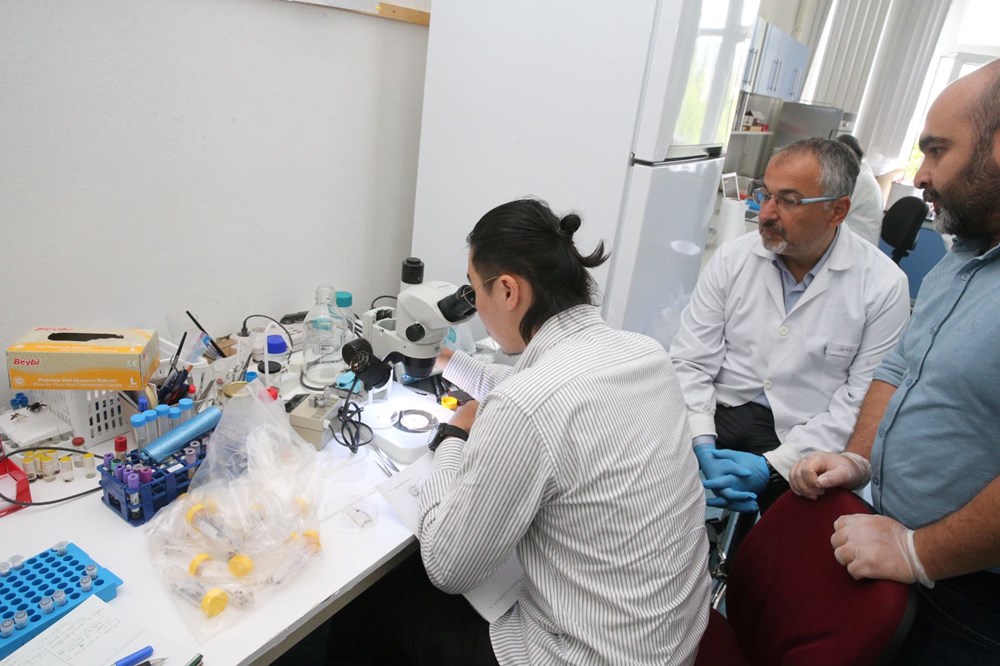 Türkiye'de yeni kene türü! Japon uzman uyardı: 30'dan fazla hastalık taşıyor - 5