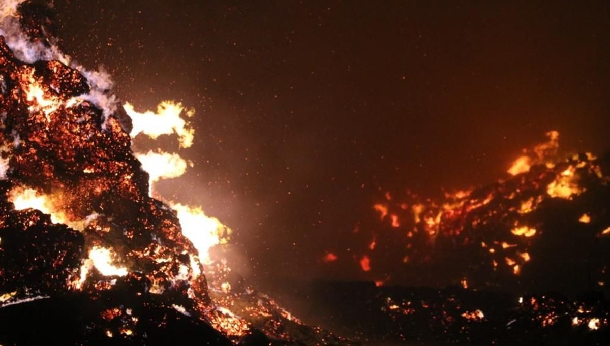 Afyonkarahisar'da biyokütle enerji santralinde yangın