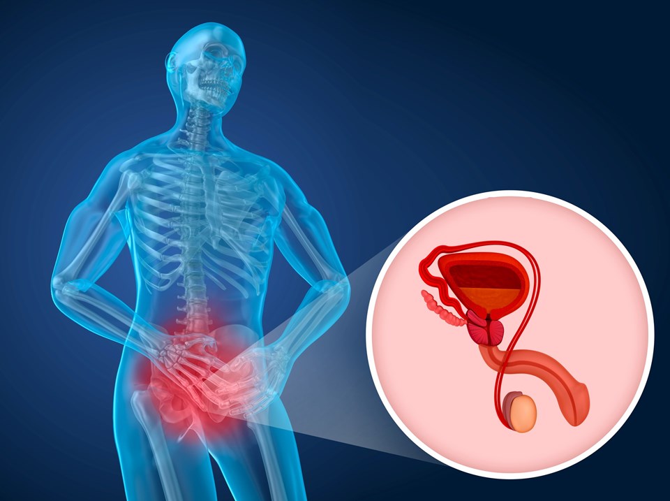 Testis ağrısı tek başına corona virüs göstergesi olabilir - 1