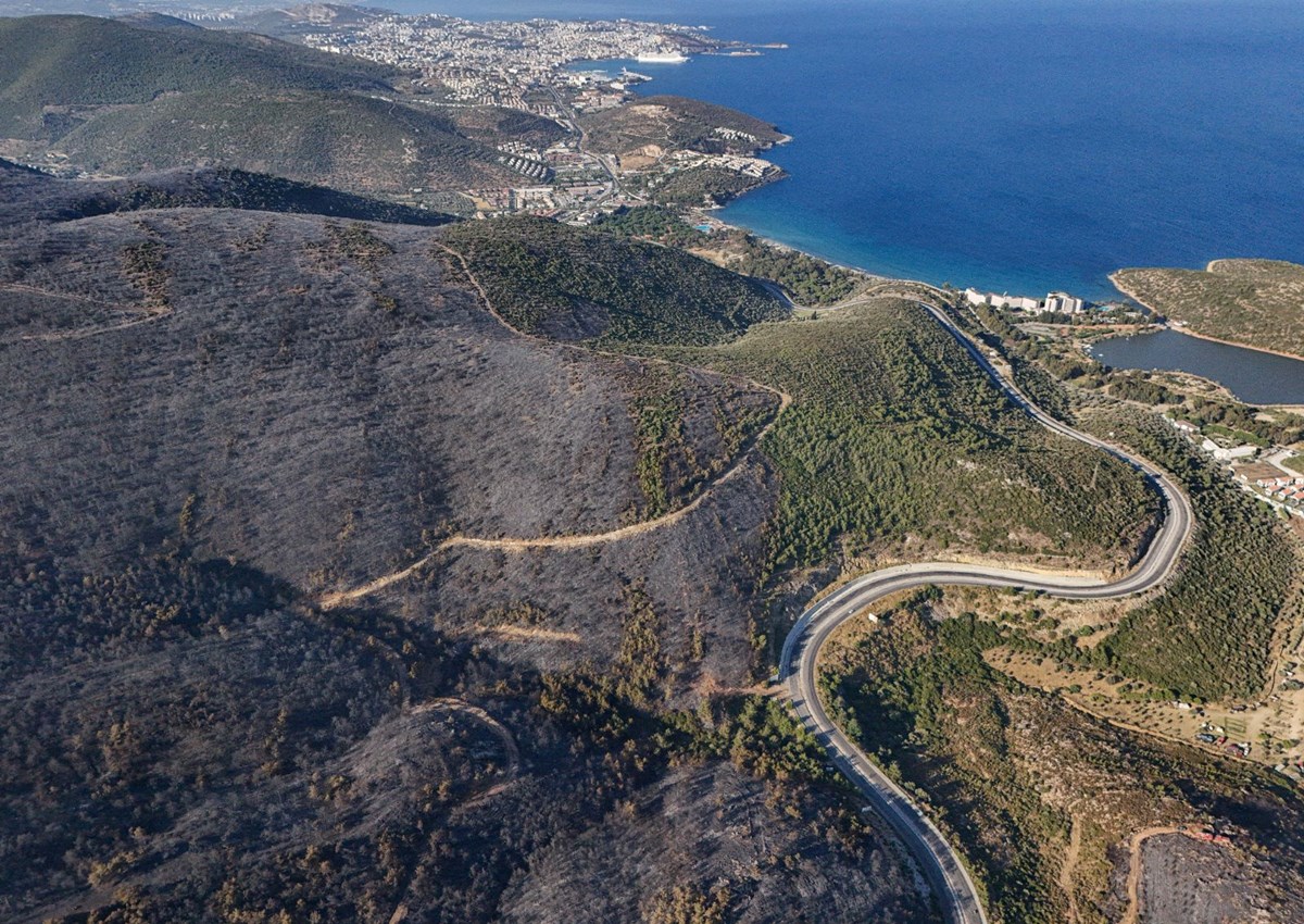 Selçuk’ta başladı, Kuşadası’na sıçradı: Ege’deki yangında felaketin boyutlarını gözler önüne seren fotoğraflar