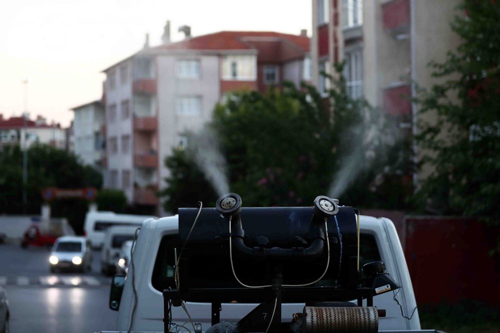 İstanbul'da'Aedes' cinsi sivrisinekle mücadele - 3