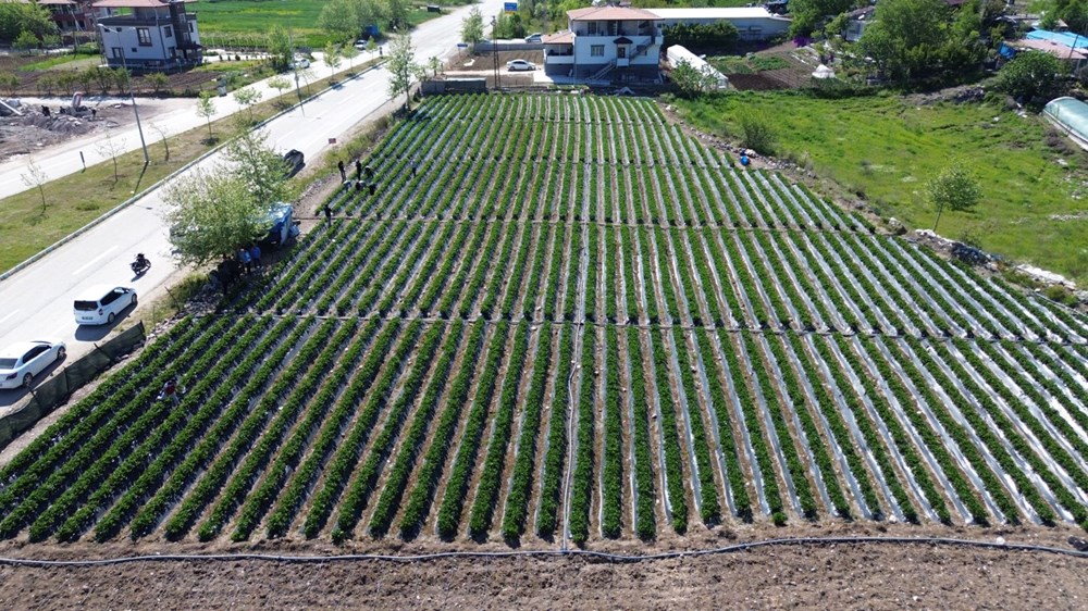 t5Aed08HhE 2To7gPJ Rkg