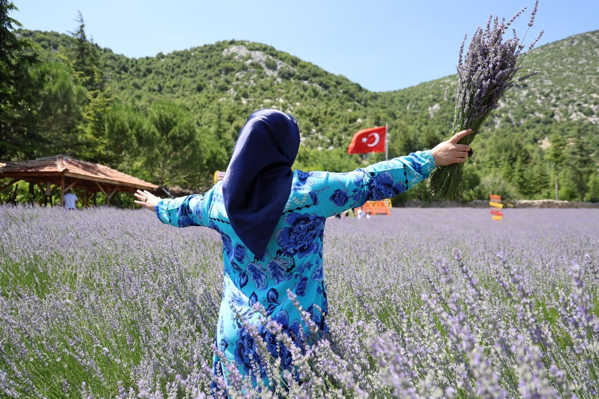 t7P2FZUaska57L3A2obUyg.jpg