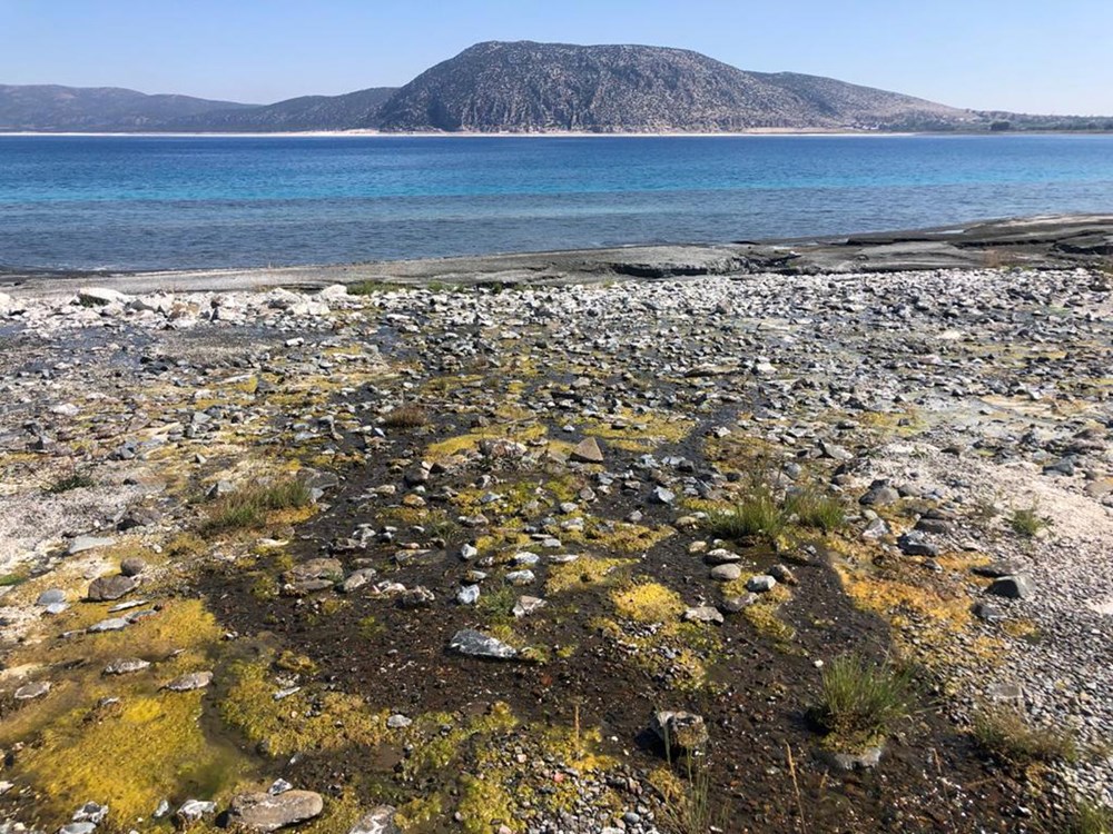 Salda Gölü'nde salyalaşma ve kararma tehlikesi - 6