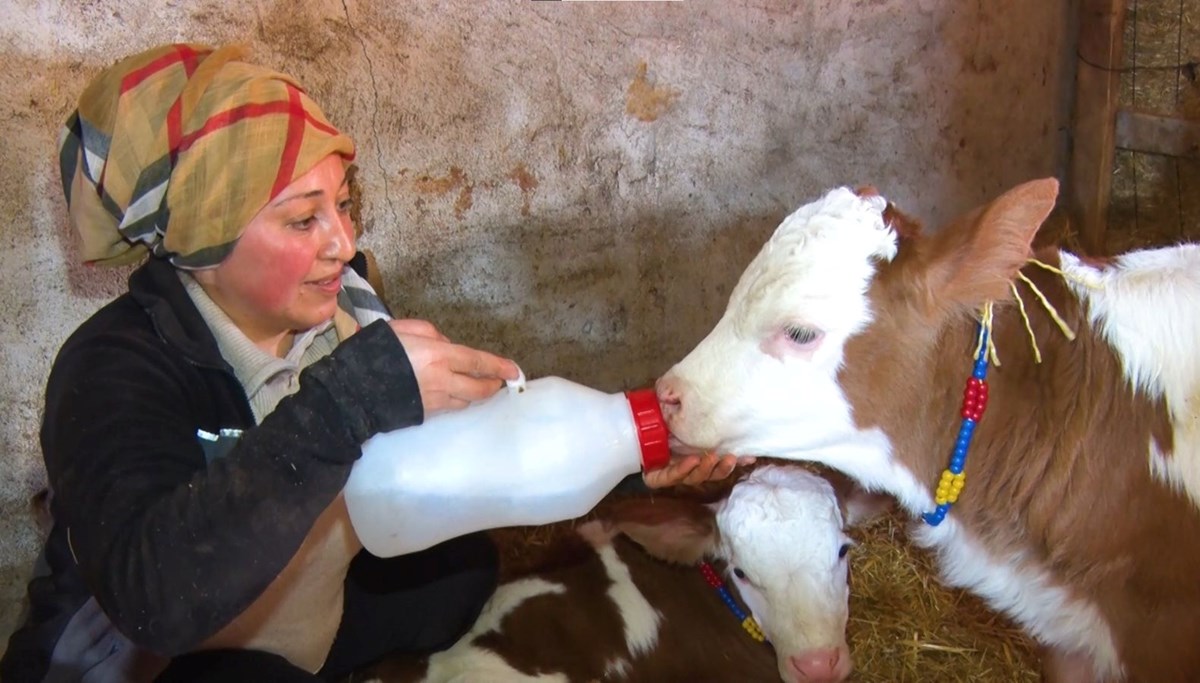 Kadınsın yapamazsın dediler, çiftlik kurdu