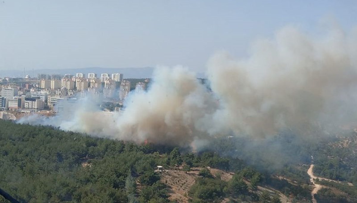 Ege’de tehlike çanları: Ortalama sıcaklık 2 derece daha yükselecek, orman yangınları artacak