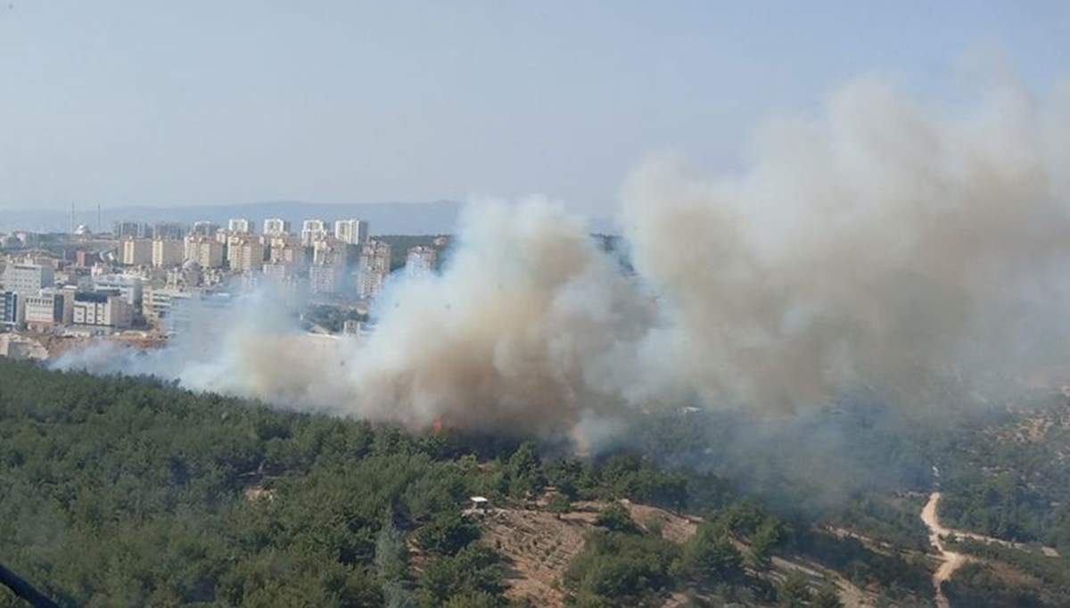 Ege’de tehlike çanları: Ortalama sıcaklık 2 derece daha yükselecek, orman yangınları artacak Ege’de tehlike çanları: Ortalama sıcaklık 2 derece daha yükselecek, orman yangınları artacak