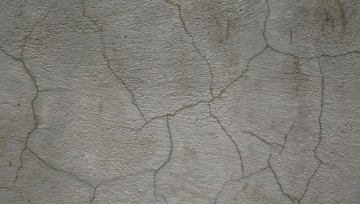 Canlı beton icat edildi Canlı beton icat edildi