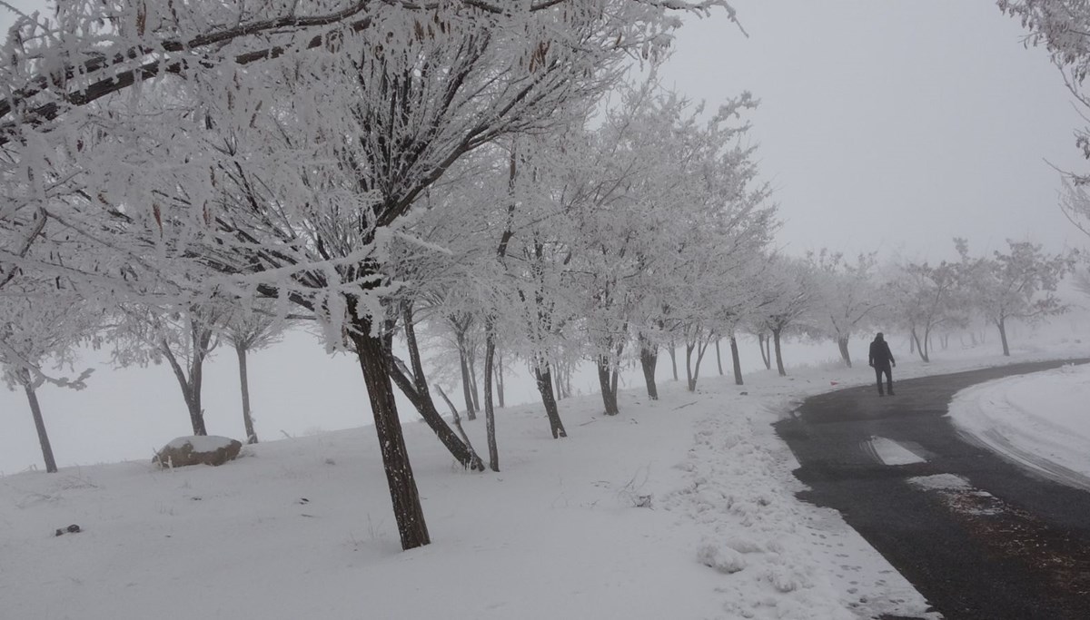 Bitlis’te yoğun sis