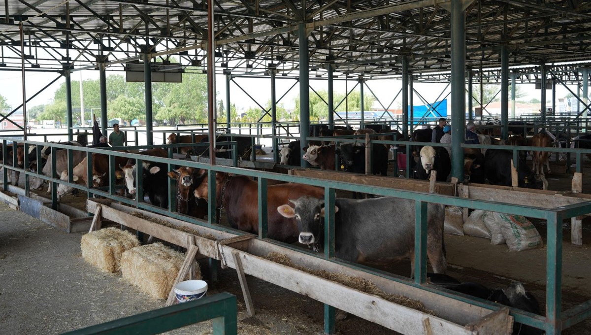 Eskişehir'de büyükşehir hayvan pazarı kapatıldı