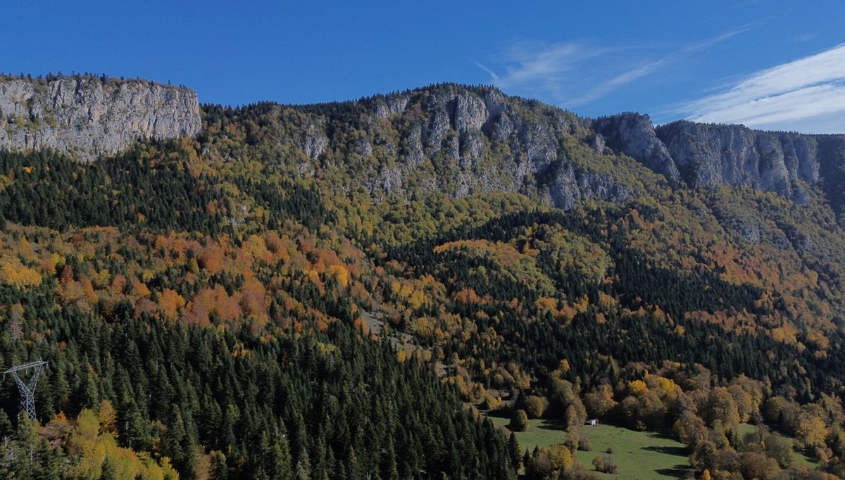 Kastamonu ormanlarında sonbahar güzelliği