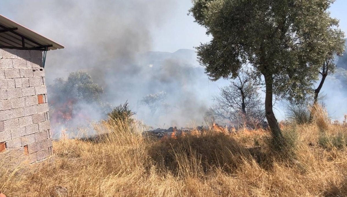 Bodrum’da zeytinlik alanda yangın