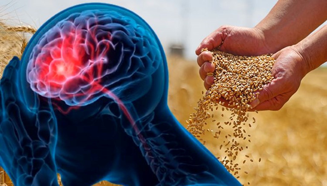 "Vücudun fabrikasını" iyileştiren 4 kural: Beyin yaşlanmasını yavaşlatmak mümkün