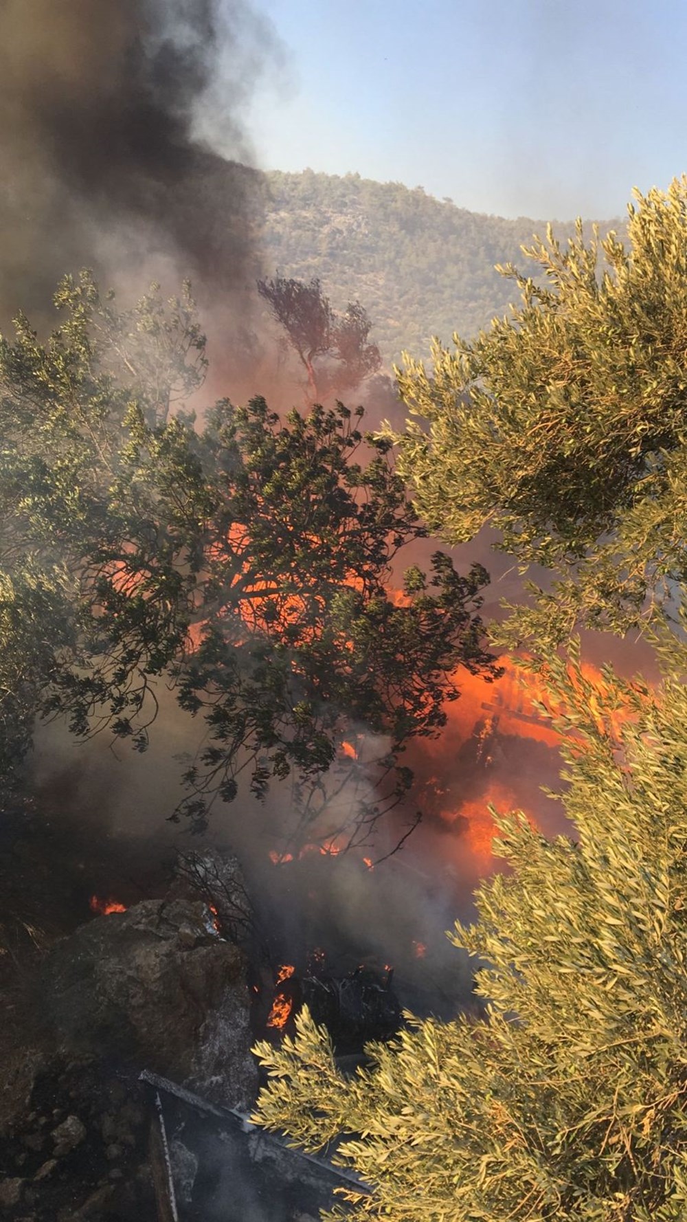 Antalya, Adana, Mersin, Muğla, Osmaniye ve Kayseri'de orman yangınları - 12