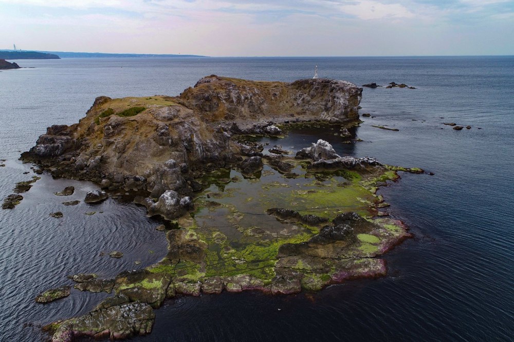 İstanbul’un ıssız adası - 3