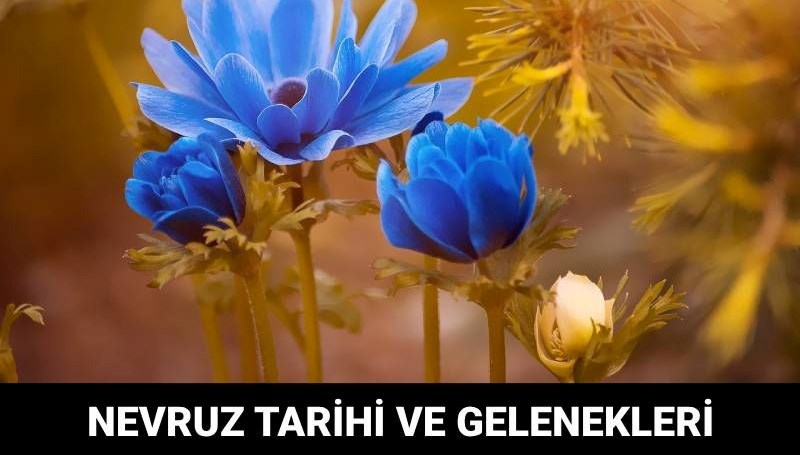 Nevruz Bayramı ne zaman, kimler tarafından kutlanır? Nevruz Bayramı gelenekleri