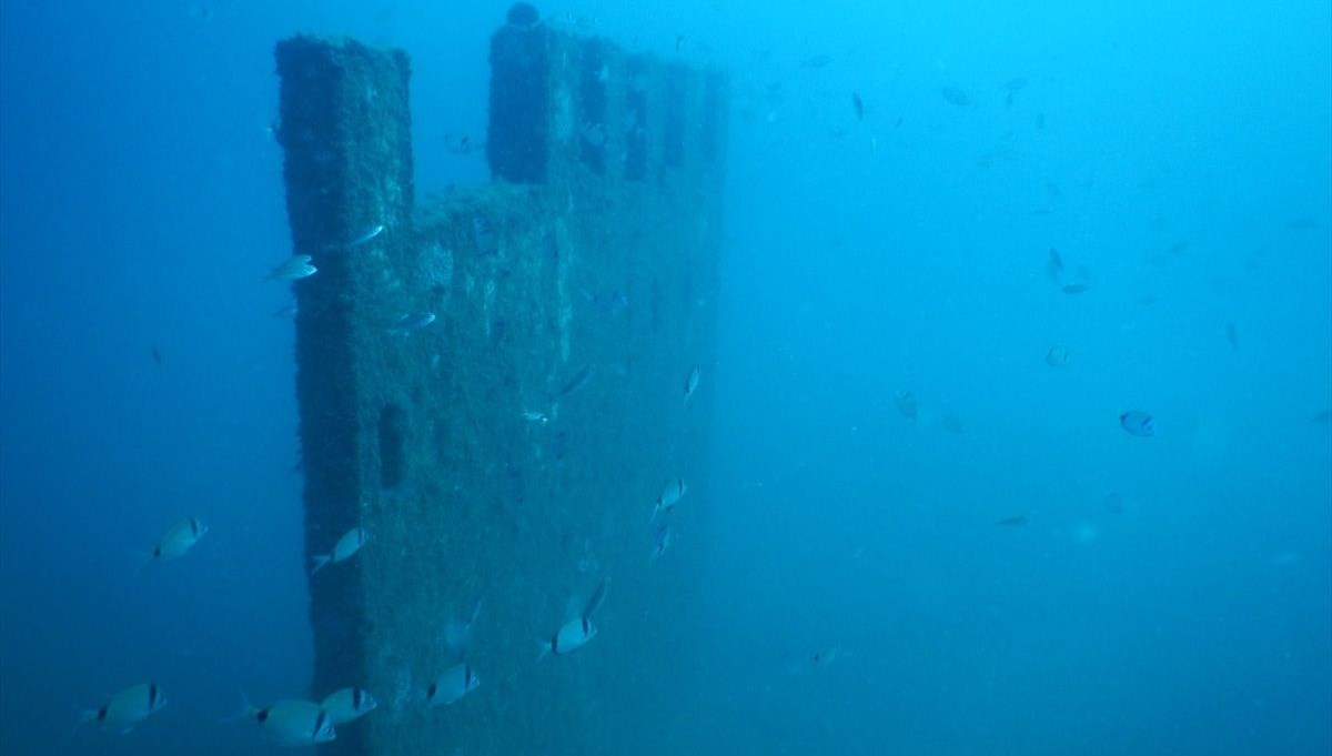 Saros Körfezi'nde su altında oluşturulan Enez Tarihi Müzesi balıklara yuva oldu