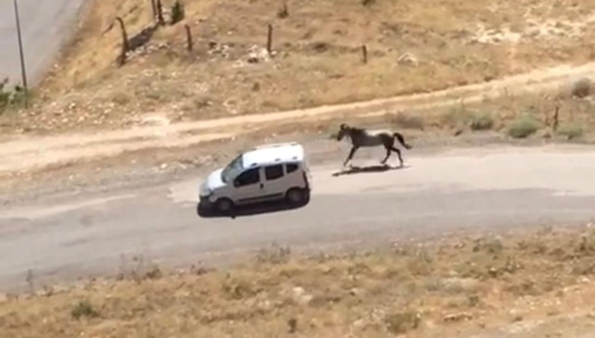 Aracına atı bağlayıp arkasından koşturan sürücüye para cezası