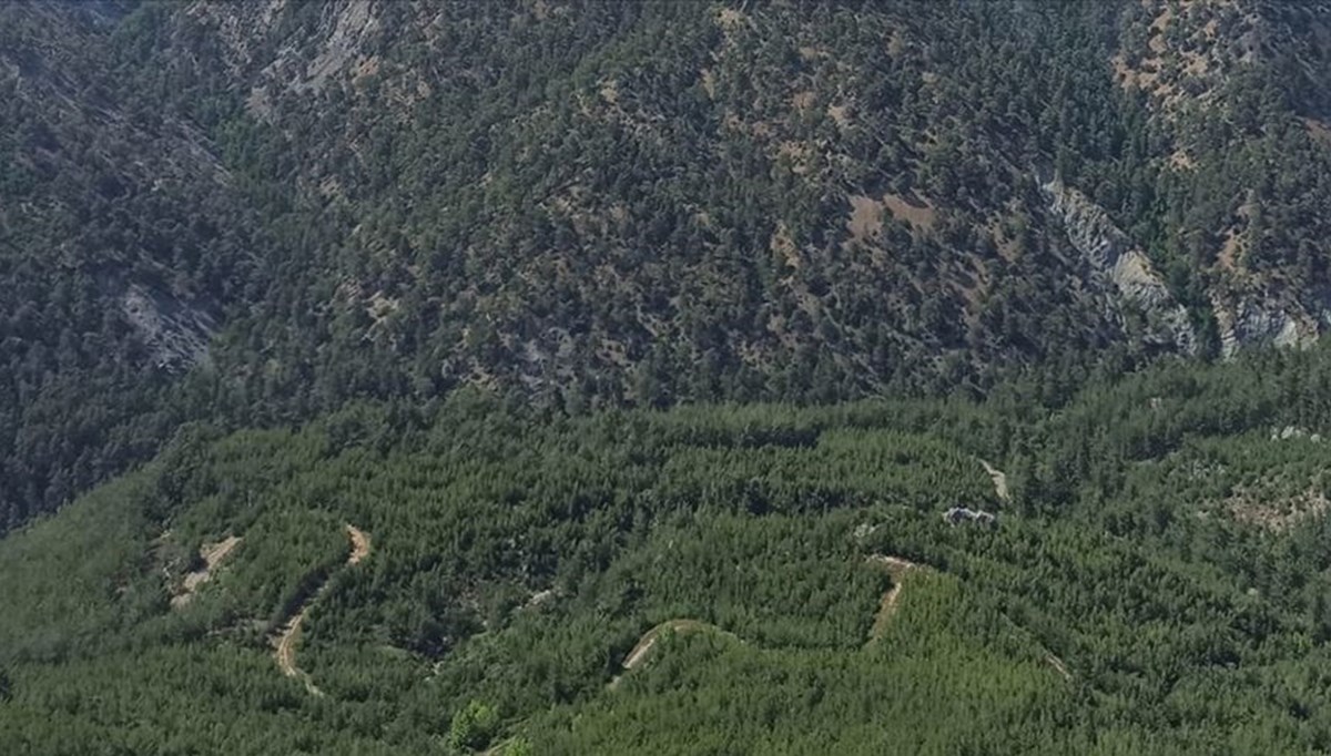 Hatay'da ormanlık alanlara girişler 1 Mayıs'tan itibaren yasaklandı Hatay'da ormanlık alanlara girişler 1 Mayıs'tan itibaren yasaklandı