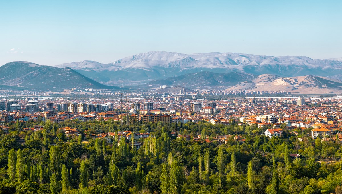 Isparta'da yeni bir mantar türü keşfedildi Isparta'da yeni bir mantar türü keşfedildi