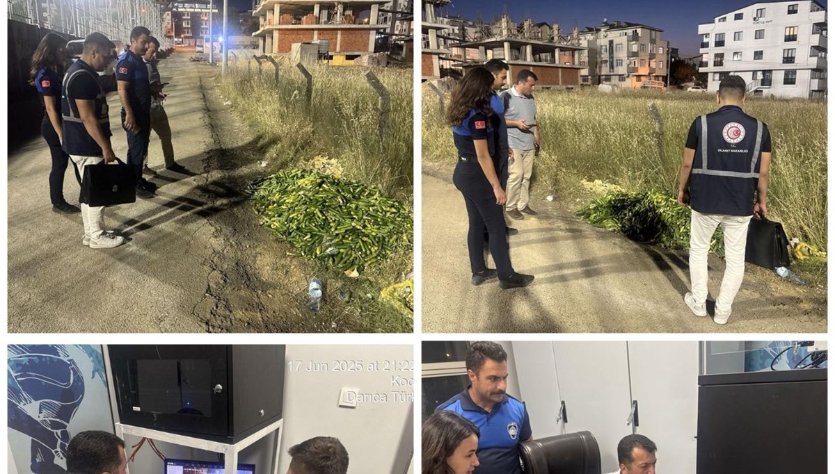Boş araziye salatalık dökmeye milyonluk ceza