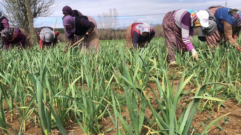 tRgHpCRJ0kqcjfnr85VO9Q