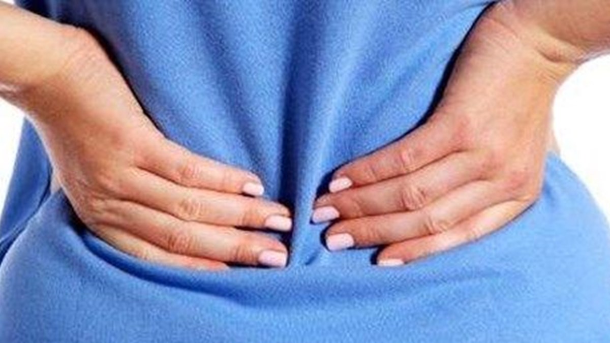 bel fitigin tedavisinde istirahat degil egzersiz daha etkili