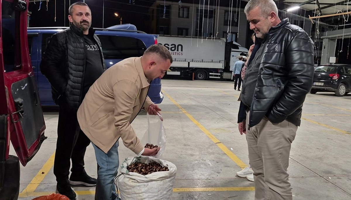 Toplaması çok zahmetli, kilosu 400 lirayı buluyor: Tescilli lezzet pazara indi