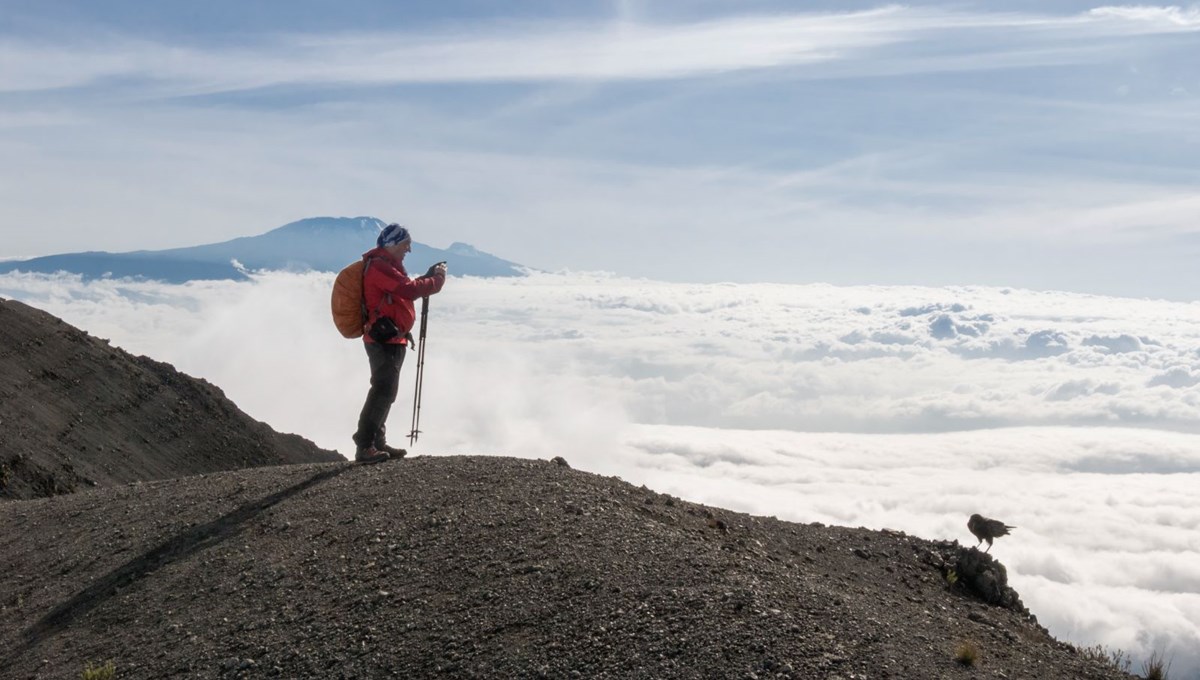 Kilimanjaro'da internet dönemi