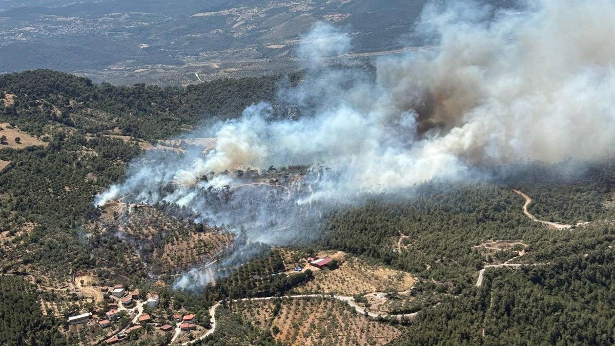 Balıkesir orman yangını