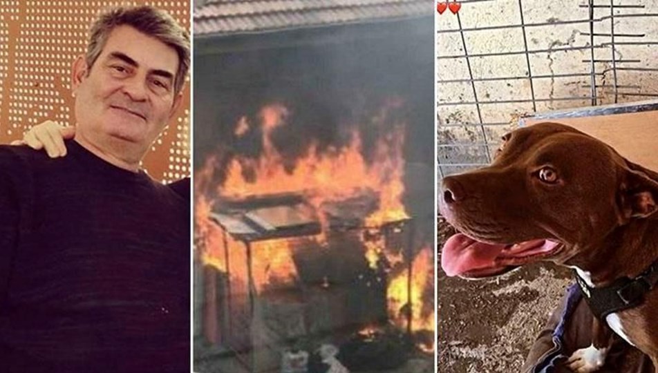 ''Şila''yı kulübesinde yakarak öldüren sanığa 4 yıl hapis