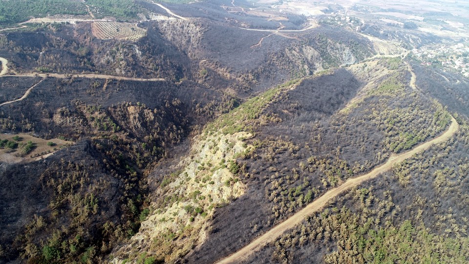 82 yılda Türkiye'de Kıbrıs’ın bir buçuk katı kadar orman yandı - 1