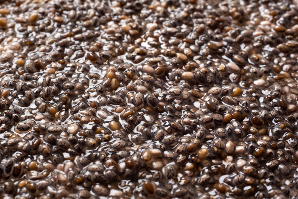 Est-il acceptable de manger des graines de chia tous les jours ? Choses à éviter - 5