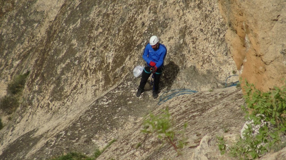 "Yılan otu" olarak da biliniyor, mevte meydan okuyup topluyorlar: Hastalıkların şifası bitki 77 taTBDsnqYEeWddO44dYRyA