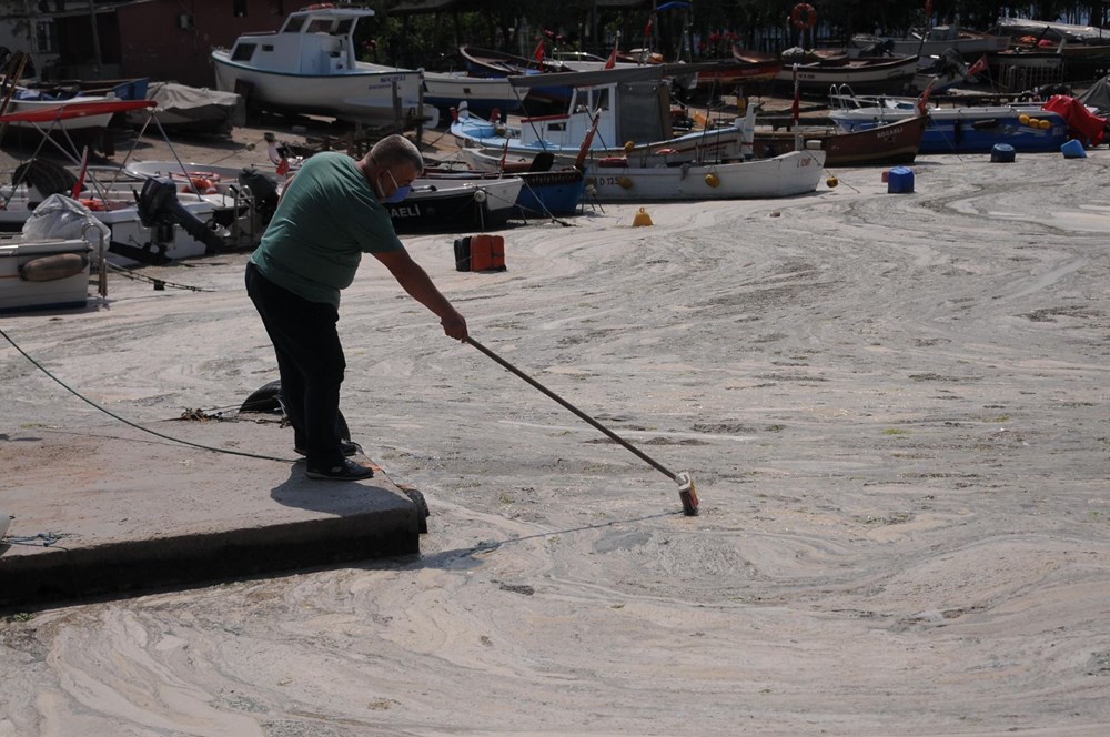 Müsilaj balıklarda zehir etkisi yaratır mı? Uzmanı yanıtladı - 8
