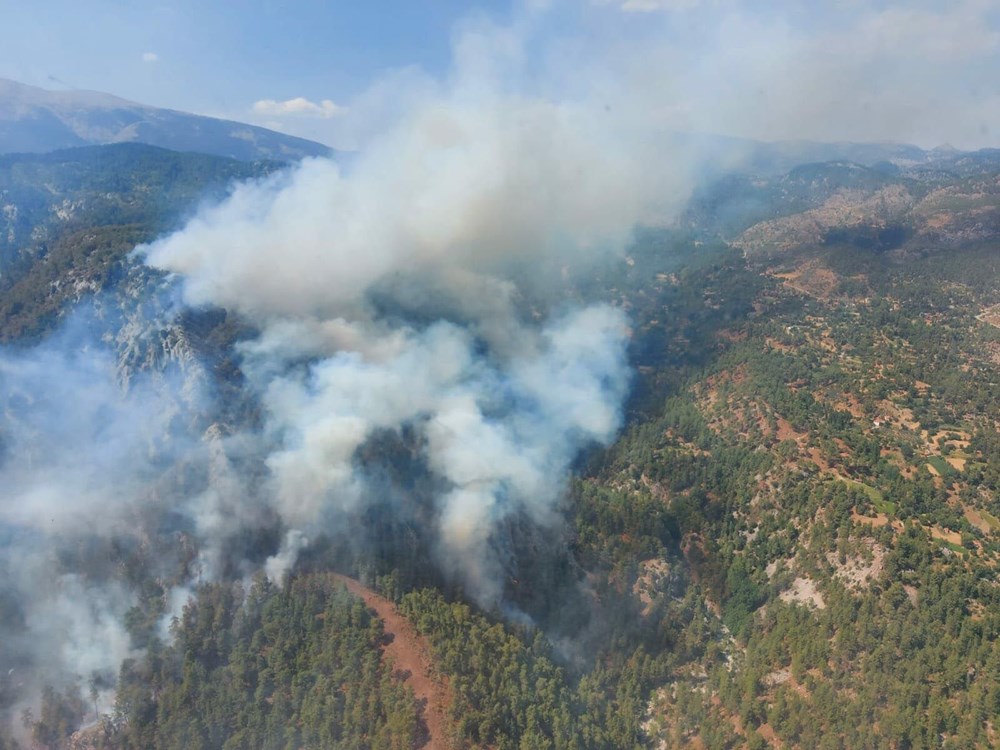 Muğla Köyceğiz'de orman yangını - 4