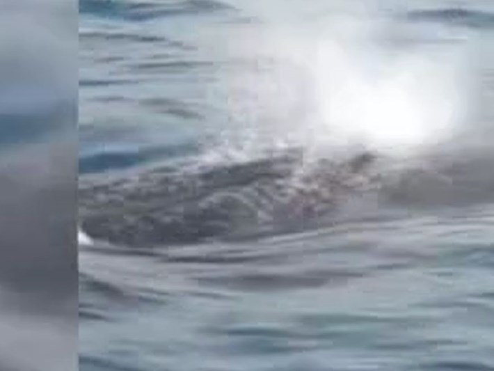 https www ntv com tr hatay