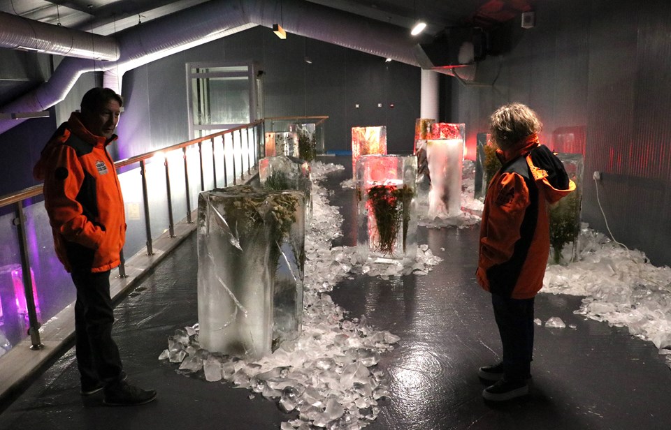 Erzurum'daki Ata Buz Müzesi'nde buz içindeki bitkilerle küresel ısınma anlatılıyor - 1