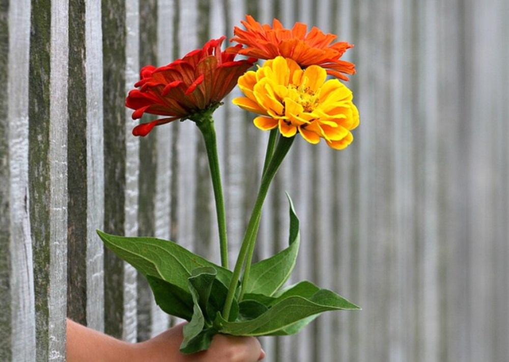 öğretmenler günü